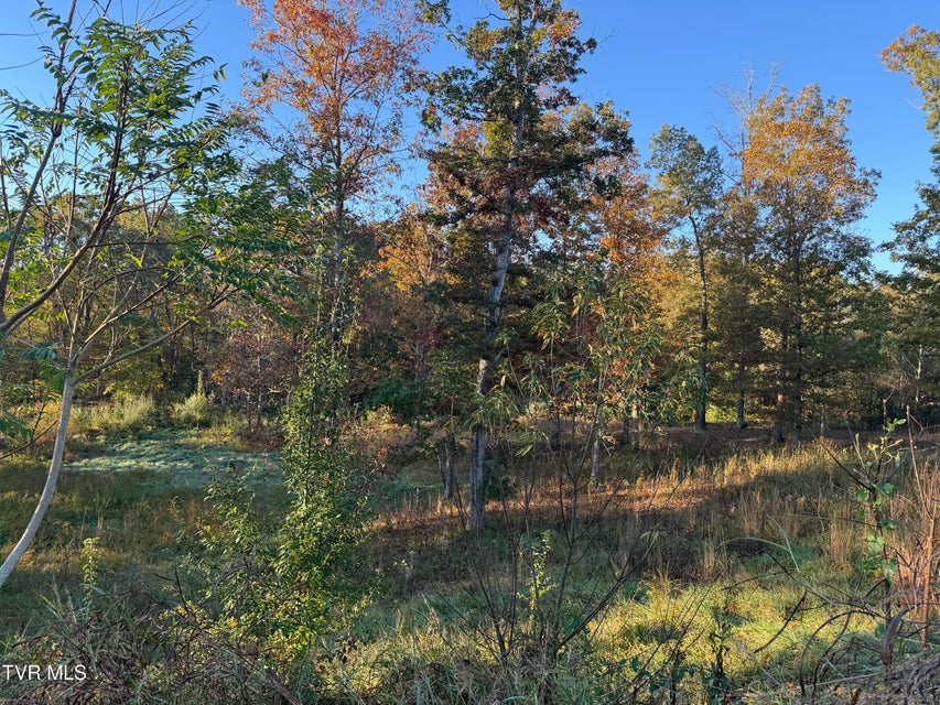 Photo #6: 168 Coby Lane