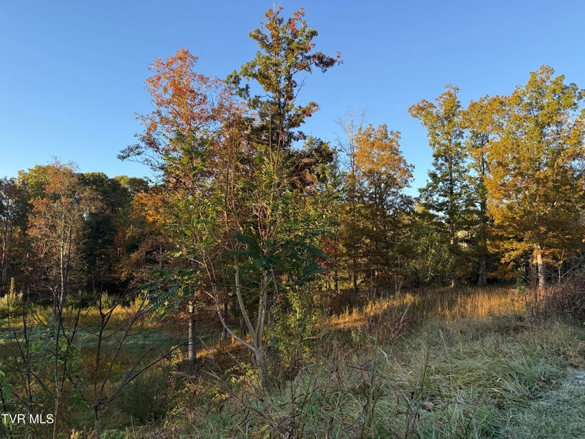 Photo #7: 168 Coby Lane