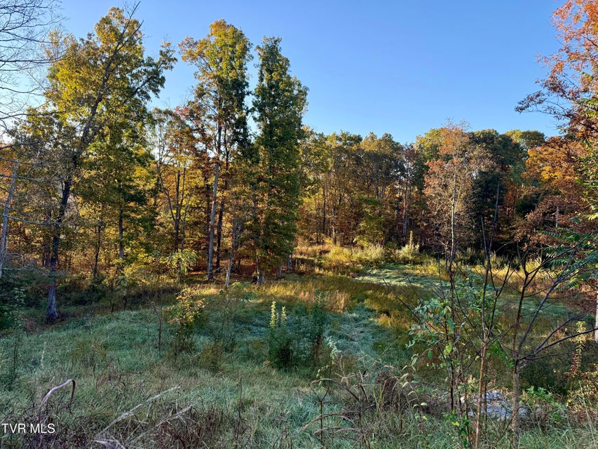 Photo #8: 168 Coby Lane