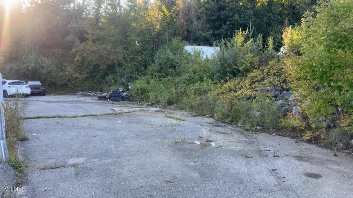 Photo #8: 605 Trent Street