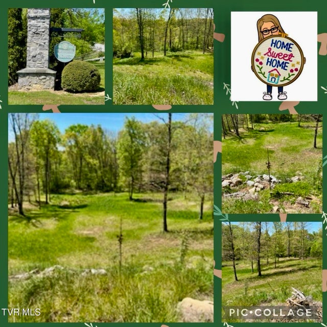 Photo #9: 168 Coby Lane