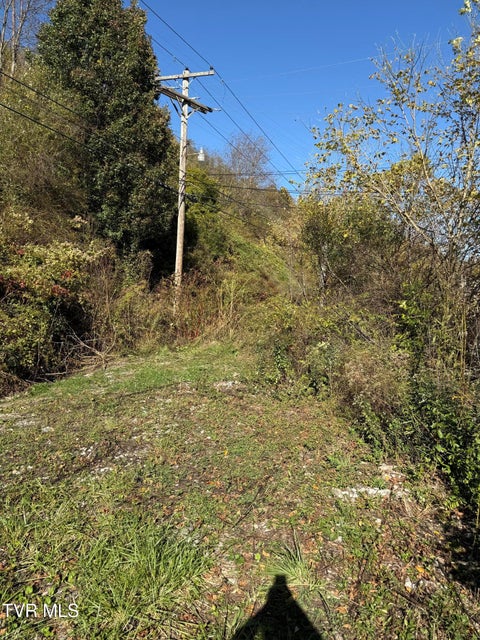 Photo #14: 605 Trent Street