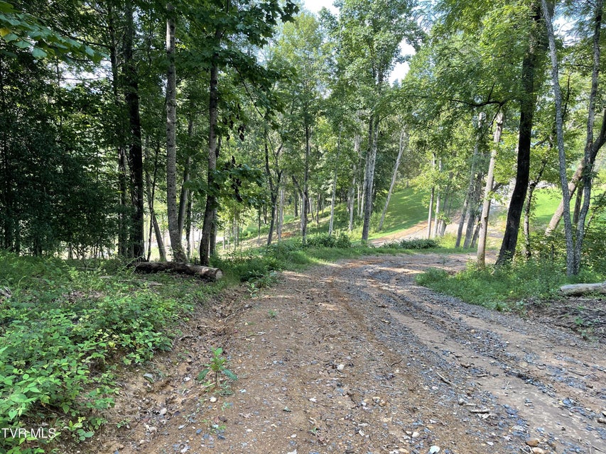 Photo #16: #26 Vineyard Valley Trail