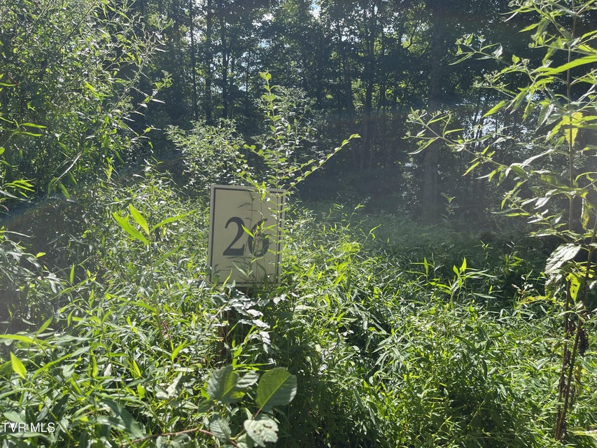 Photo #17: #26 Vineyard Valley Trail