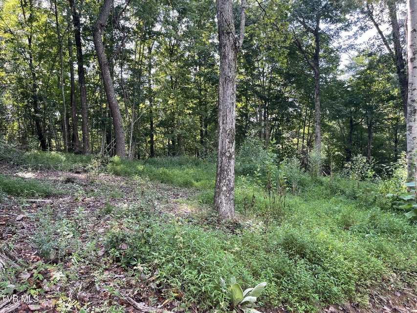 Photo #20: #26 Vineyard Valley Trail