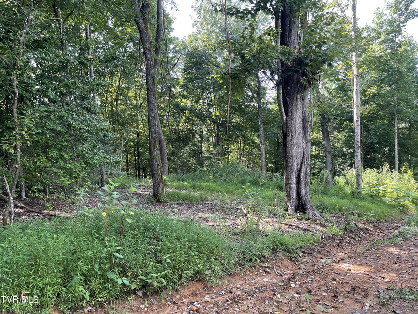 Photo #21: #26 Vineyard Valley Trail