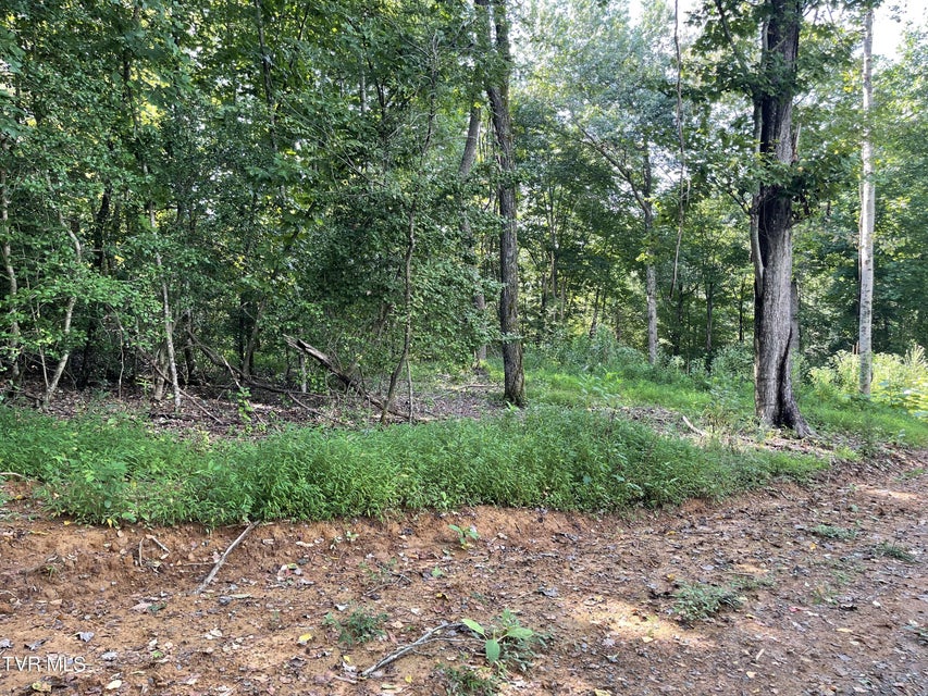 Photo #22: #26 Vineyard Valley Trail