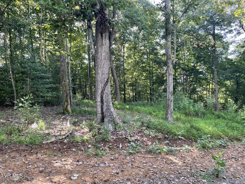 Photo #23: #26 Vineyard Valley Trail