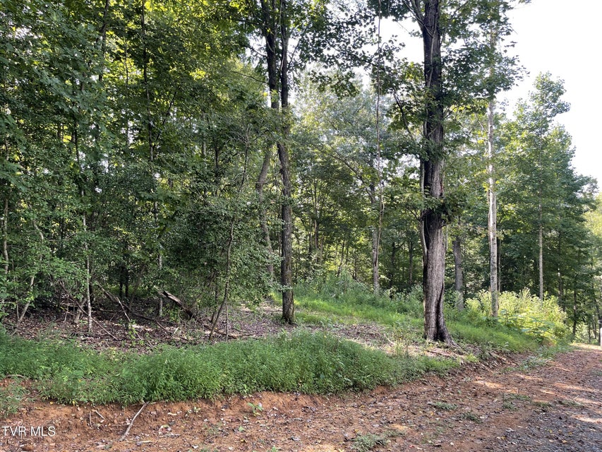 Photo #24: #26 Vineyard Valley Trail