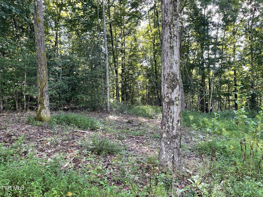 Photo #25: #26 Vineyard Valley Trail