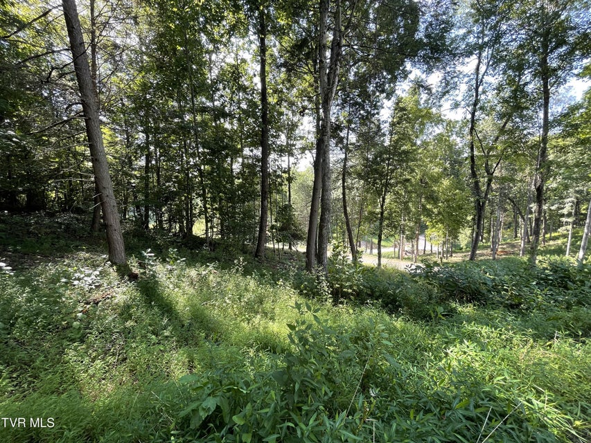 Photo #27: #26 Vineyard Valley Trail