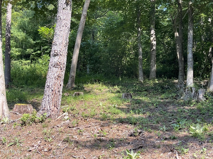 Photo #28: #26 Vineyard Valley Trail