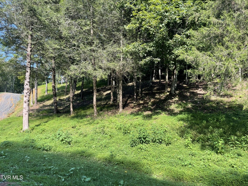 Photo #29: #26 Vineyard Valley Trail