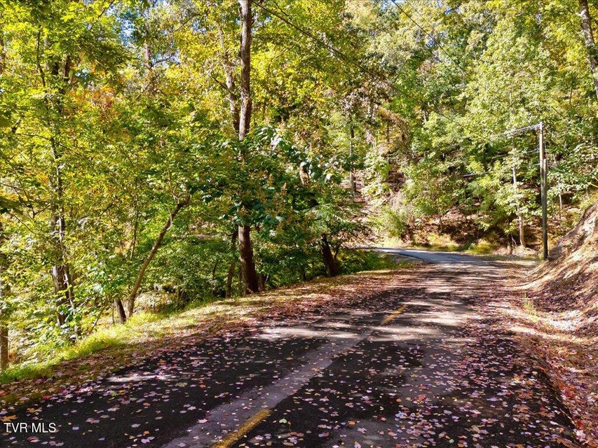 Photo #8: 1218 Keetoowah Drive