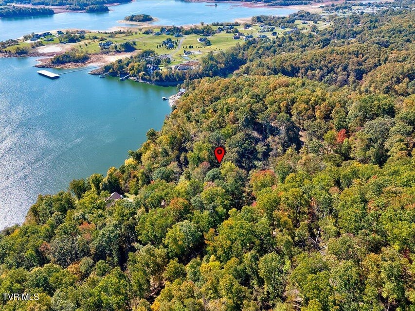 Photo #10: 1218 Keetoowah Drive