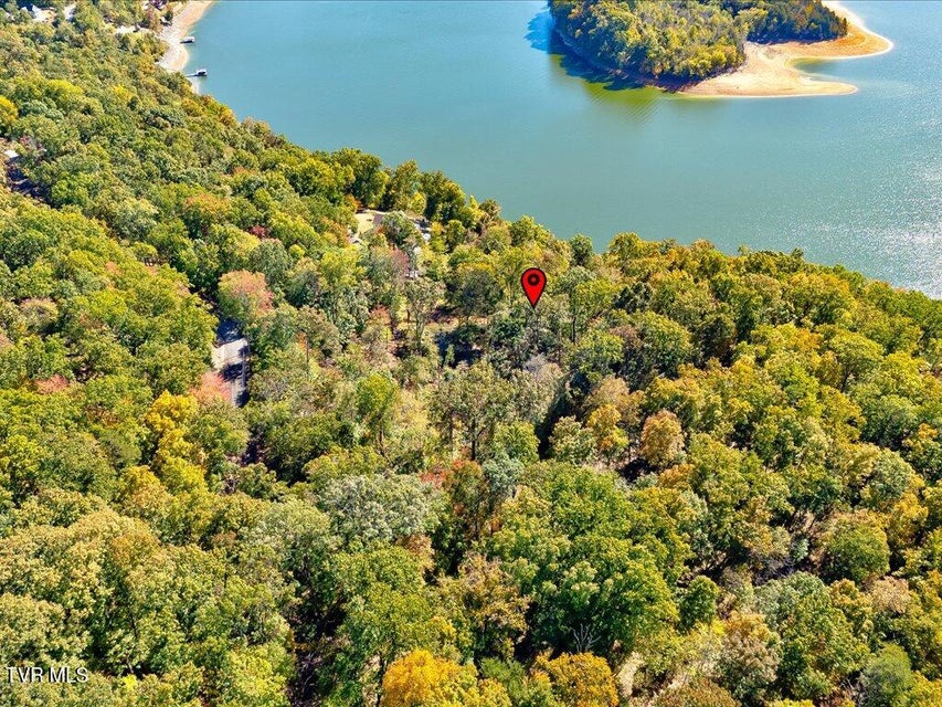 Photo #12: 1218 Keetoowah Drive