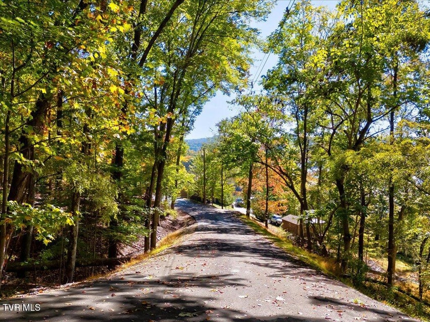 Photo #14: 1218 Keetoowah Drive