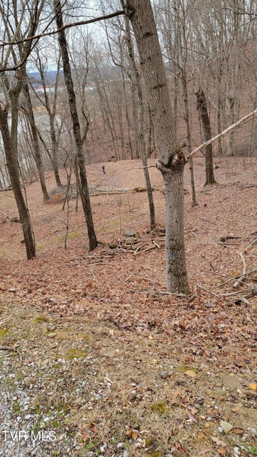 Photo #2: 1218 Keetoowah Drive