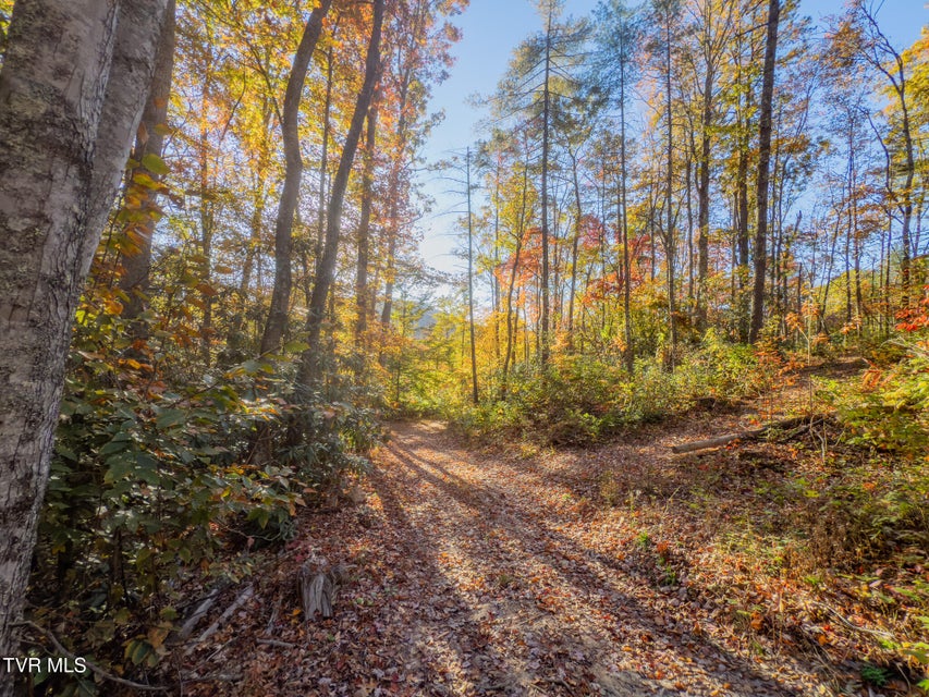 Photo #3: 299 Morton Road