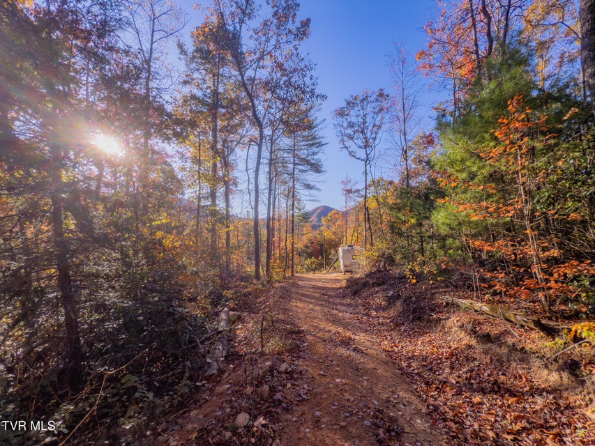 Photo #6: 299 Morton Road