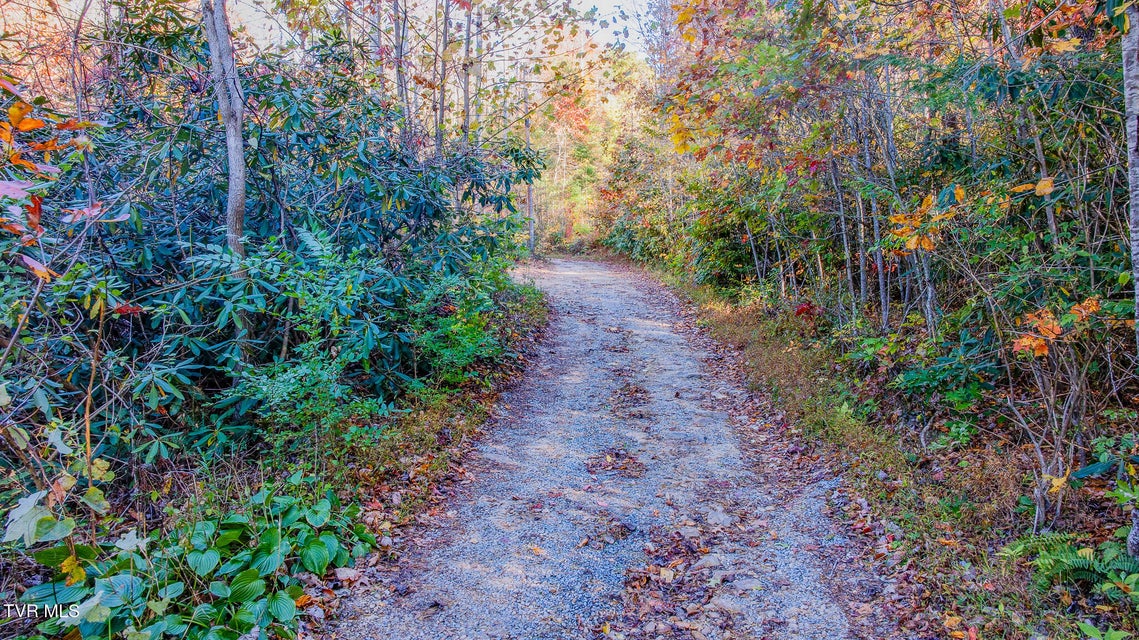 Photo #8: 299 Morton Road