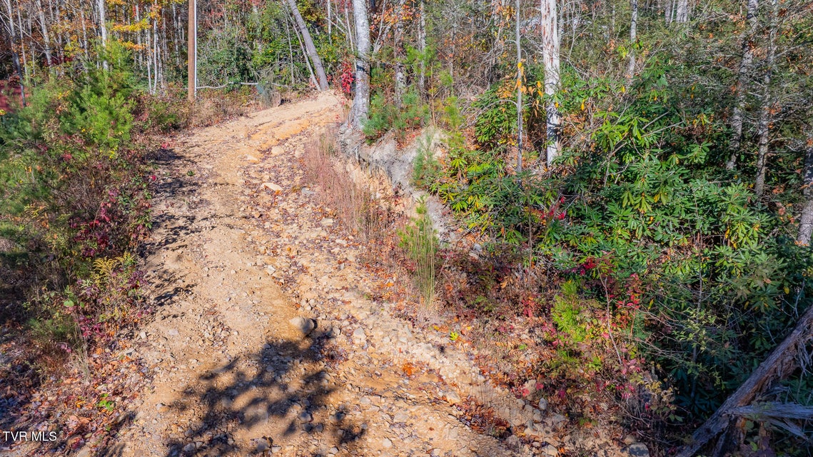 Photo #9: 299 Morton Road