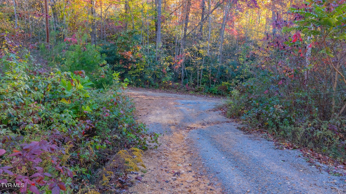 Photo #10: 299 Morton Road