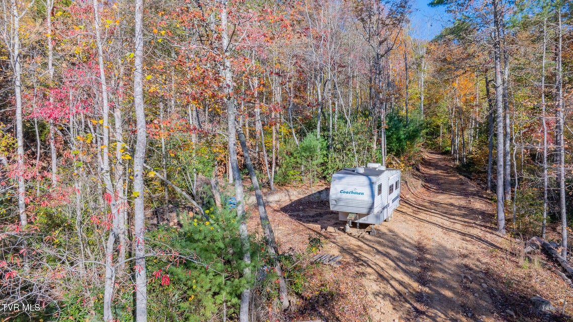 Photo #5: 299 Morton Road