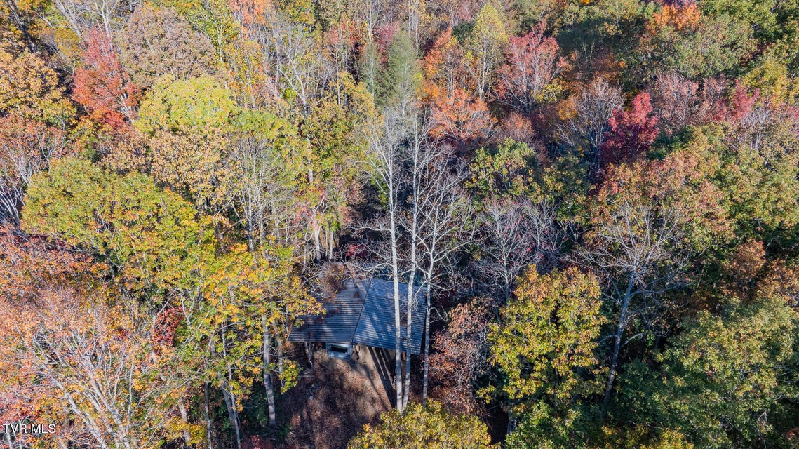 Photo #11: 299 Morton Road