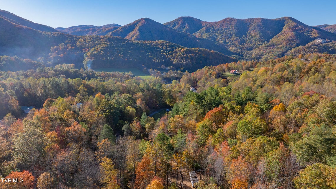 Photo #2: 299 Morton Road