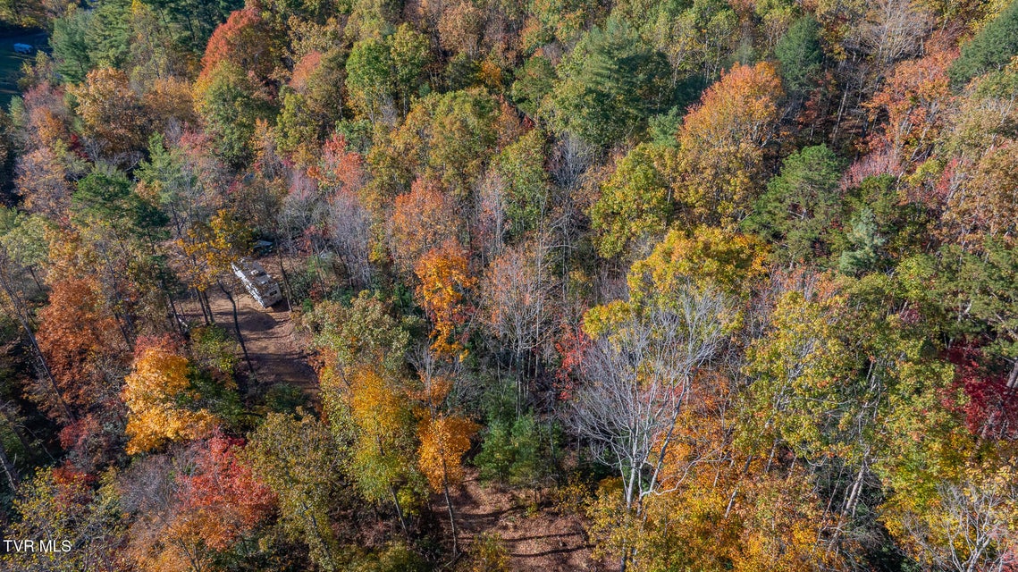 Photo #12: 299 Morton Road