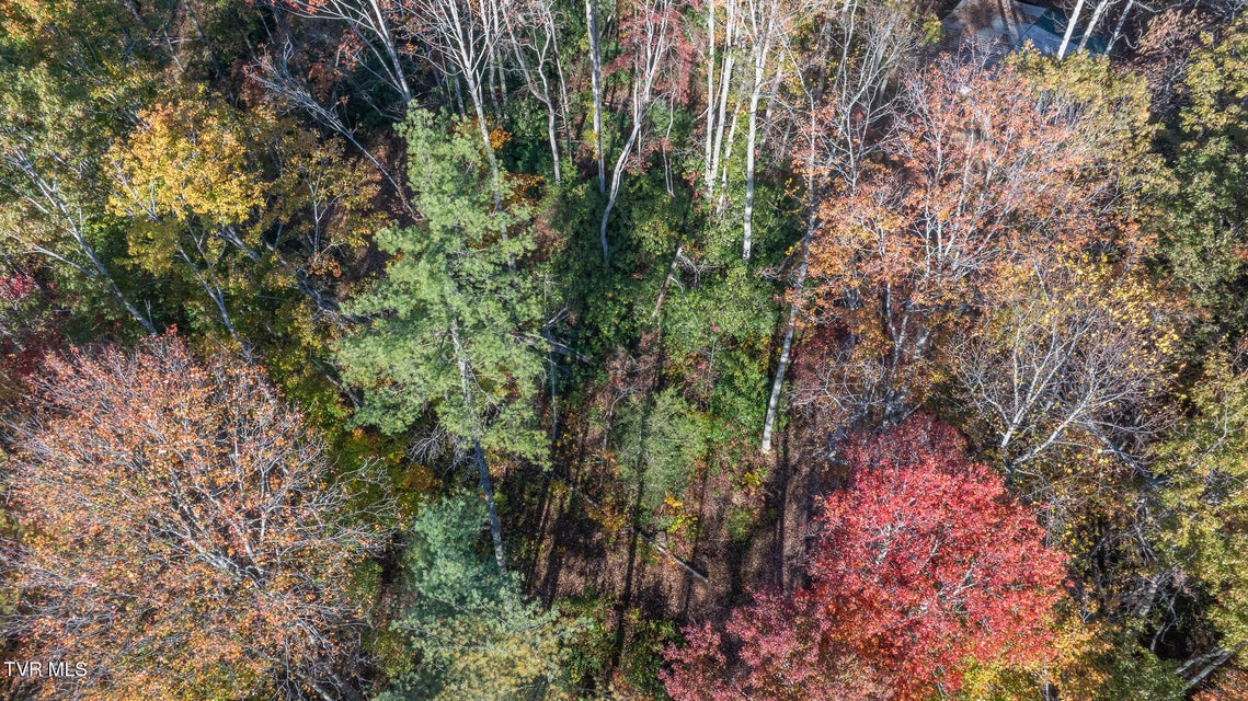 Photo #13: 299 Morton Road