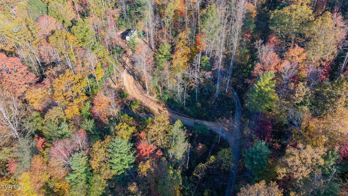 Photo #14: 299 Morton Road