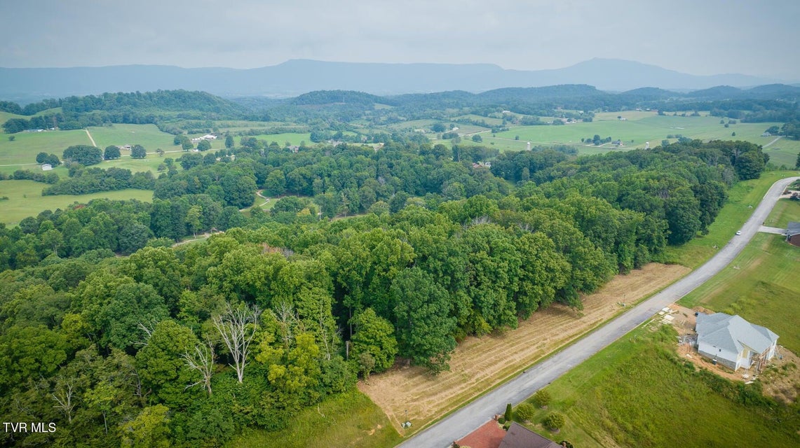 Photo #3: Lot 41 Chimney Top Lane 