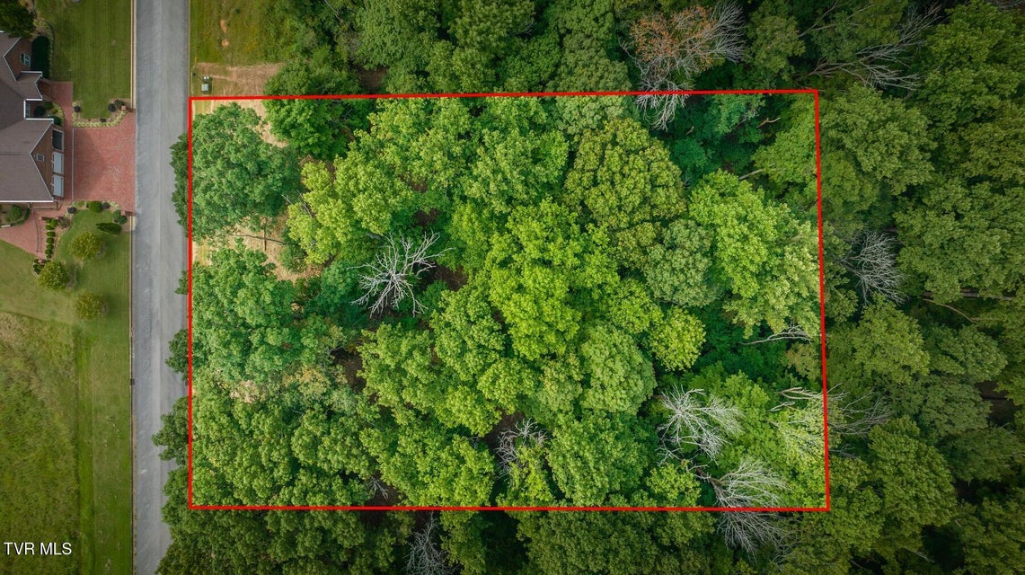 Photo #8: Lot 41 Chimney Top Lane 