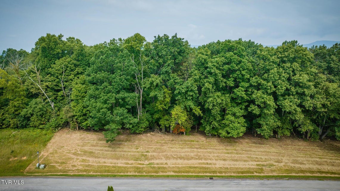 Photo #10: Lot 41 Chimney Top Lane 