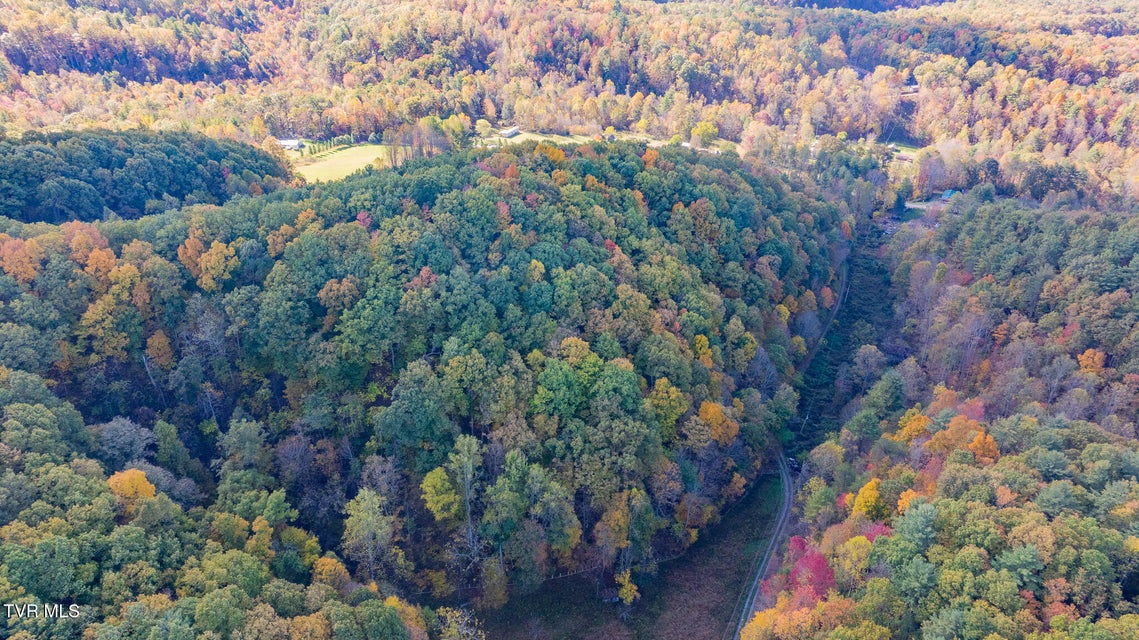 Photo #3: 809 Wyatt Hollow Road