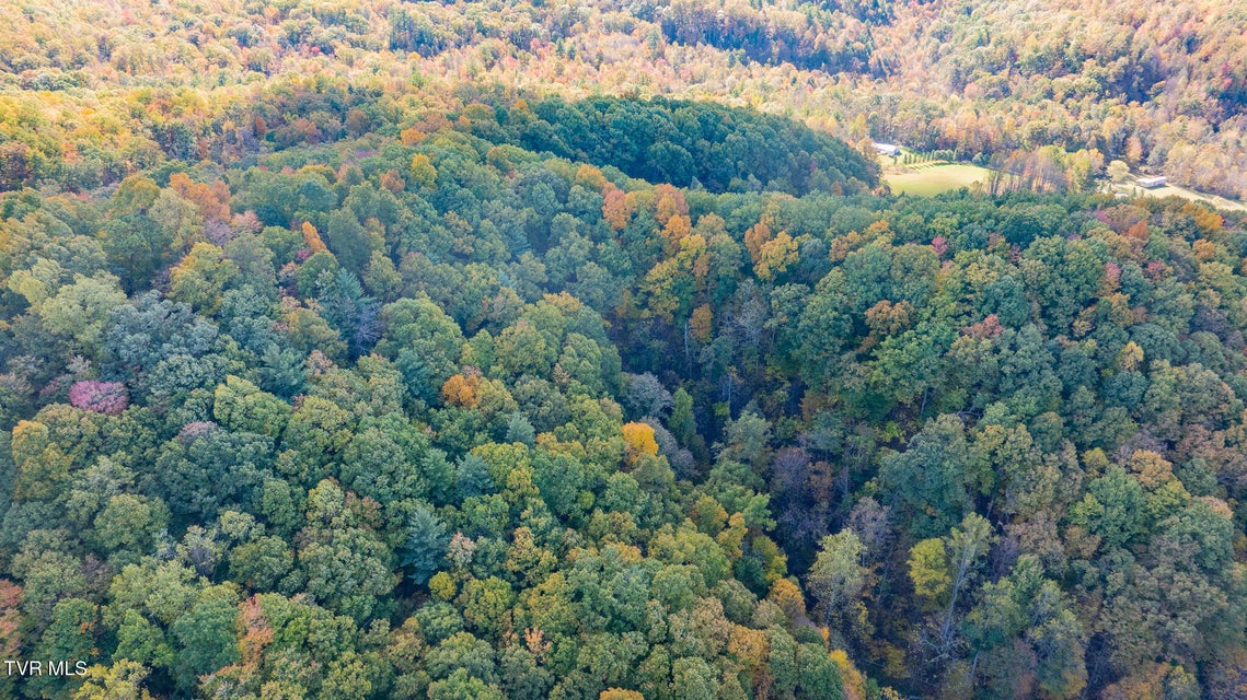 Photo #4: 809 Wyatt Hollow Road