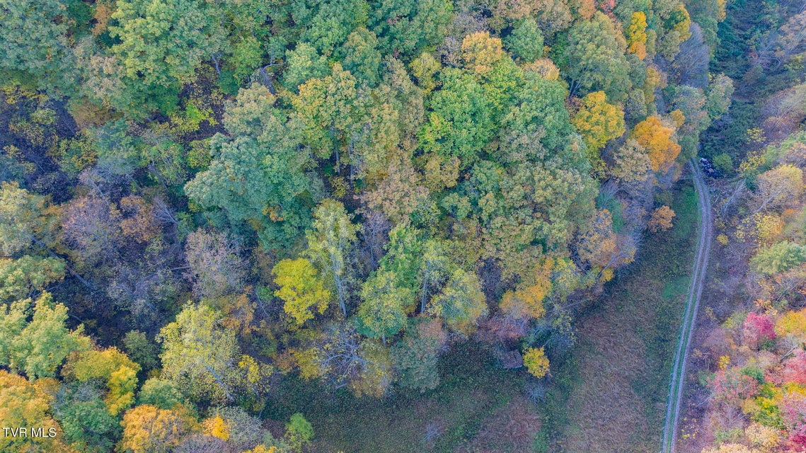 Photo #5: 809 Wyatt Hollow Road