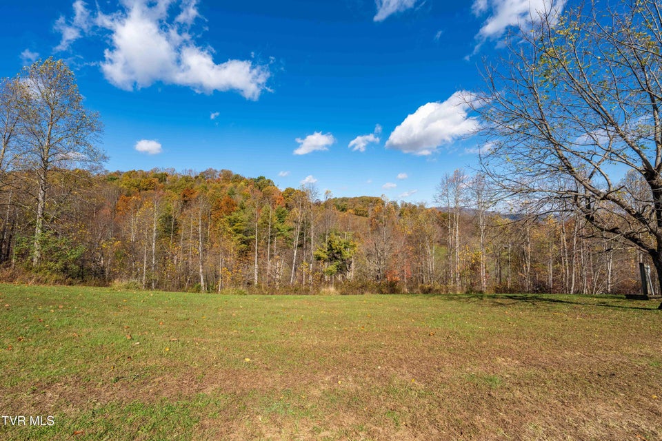 Photo #48: 928 Avery Branch Road