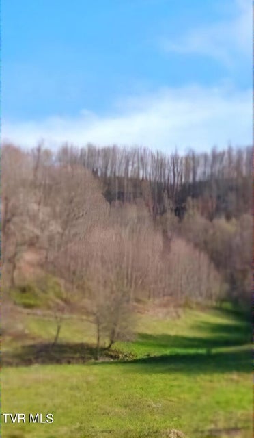 Photo #2: Tbd Miller Lane