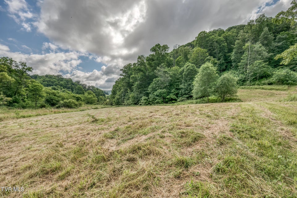 Photo #14: Tbd Miller Lane