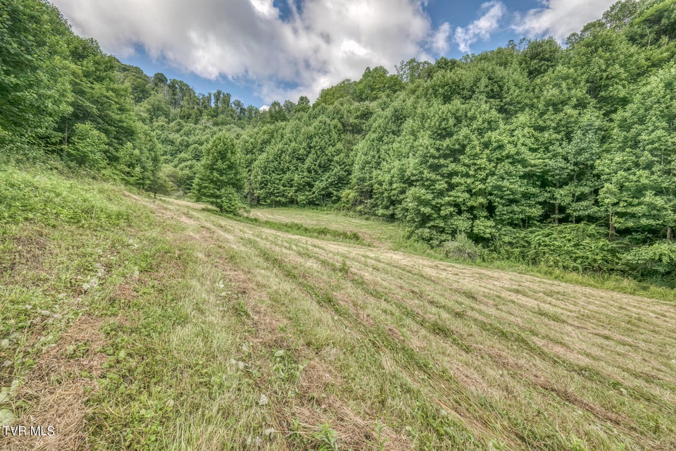 Photo #17: Tbd Miller Lane