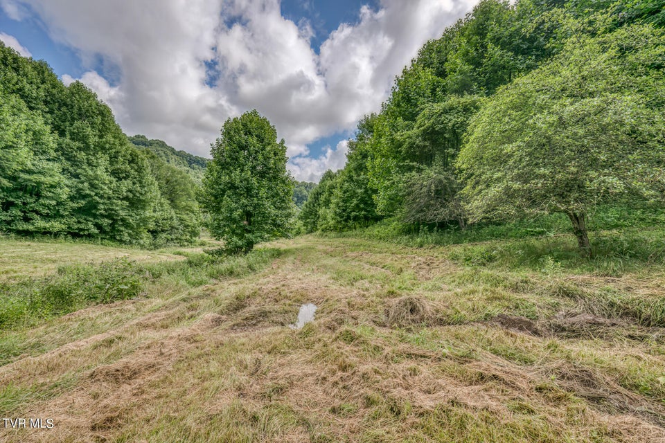 Photo #18: Tbd Miller Lane