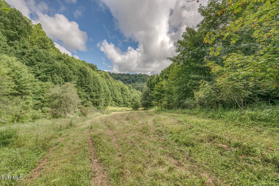 Photo #20: Tbd Miller Lane