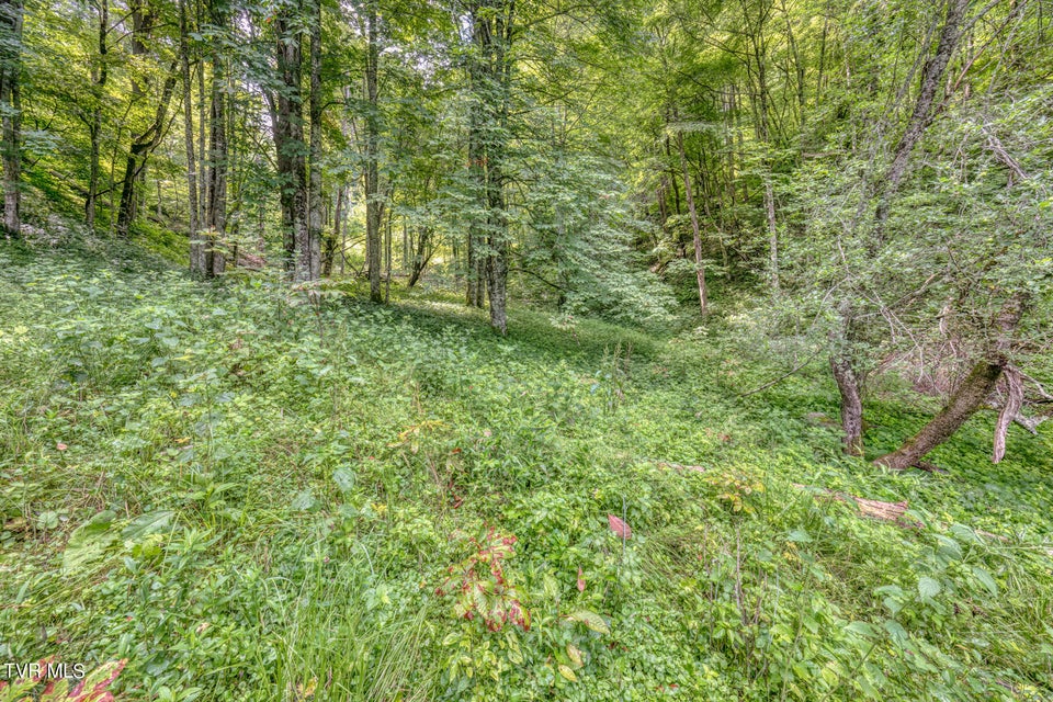 Photo #22: Tbd Miller Lane