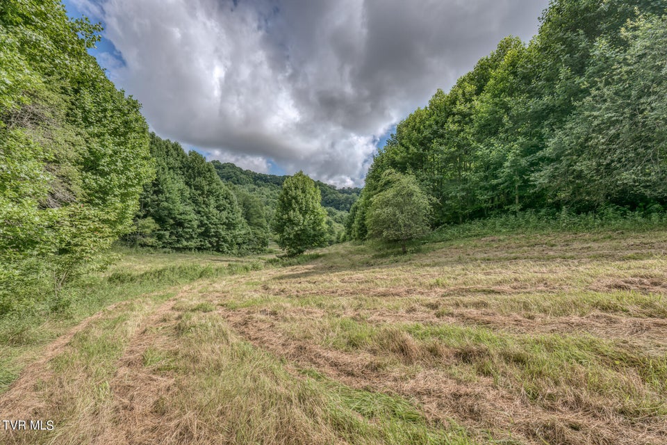 Photo #25: Tbd Miller Lane