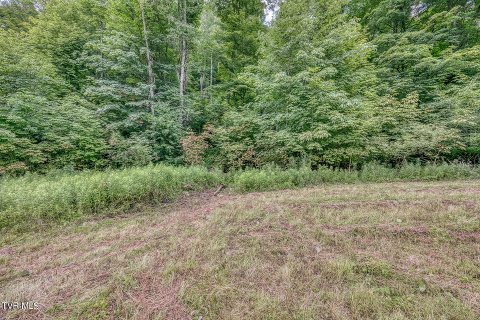 Photo #31: Tbd Miller Lane