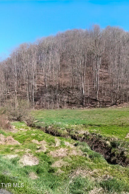 Photo #33: Tbd Miller Lane