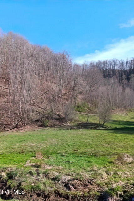 Photo #34: Tbd Miller Lane